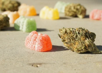 【最新版】CBD・CBNエディブルの魅力と注意点｜効果や選び方を徹底解説！