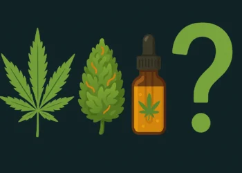 【知って損はない！】CBDアイソレート・ブロード・フルスペクトラムって何が違うの？