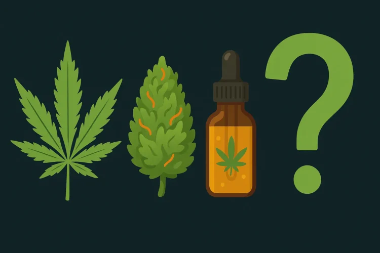 【知って損はない!】CBDアイソレート・ブロード・フルスペクトラムって何が違うの?