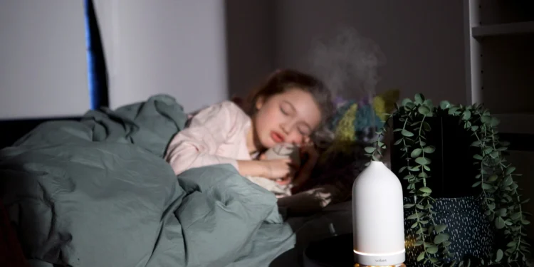 【話題沸騰】高濃度CBNグミ・クッキーってぶっちゃけどうなの?期待できる効果・注意点を徹底解説!