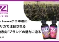 カリフォルニア発大麻ブランド・Seven Leavesが日本進出！アメリカで注目される“本物志向”ブランドの魅力に迫る